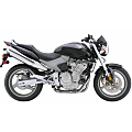 CB600F Hornet (1998-2006)