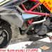 Barras de proteção Kawasaki Z250SL, proteção do motor