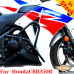 Honda CBR250R сrash bars, engine guard