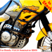 Barre paramotore Honda NX650 RD08, protezione motore