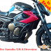 ヤマハ XJ6 クラッシュバー、エンジンガード