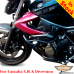 ヤマハ XJ6 クラッシュバー、エンジンガード